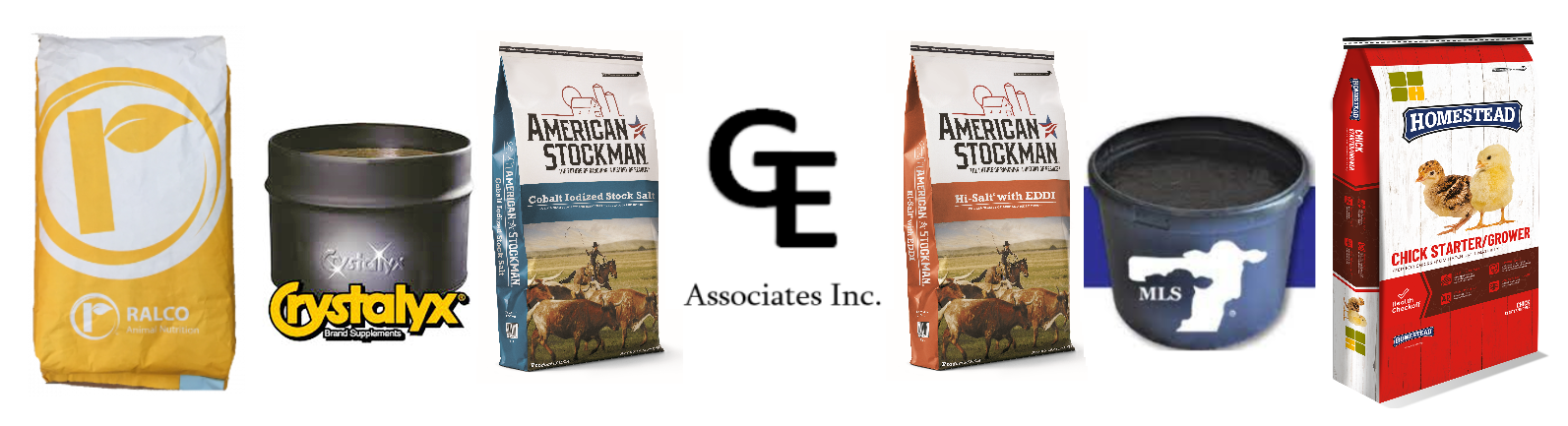 GE_Logo_final_with_feed